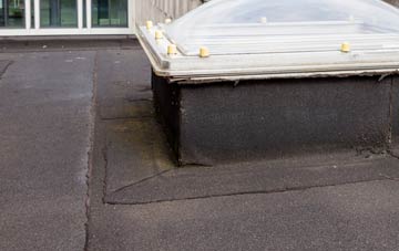 disadvantages of Norton Disney flat roofs