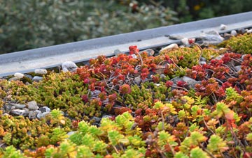 the cost of Norton Disney green roof installation